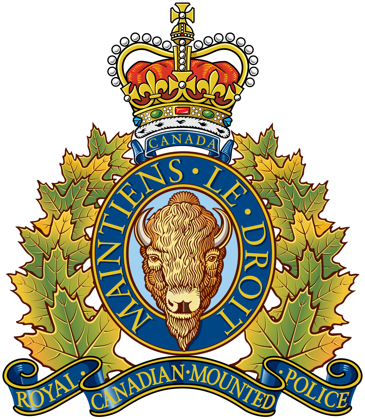 RCMP Family Violence Initiative Fund